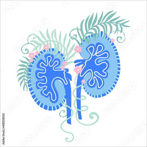 Kidneys. Taking care of your body. Human organ. Vector illustration.