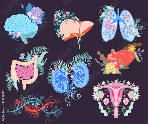 Set of vector human organs. Health care. Vector illustration.