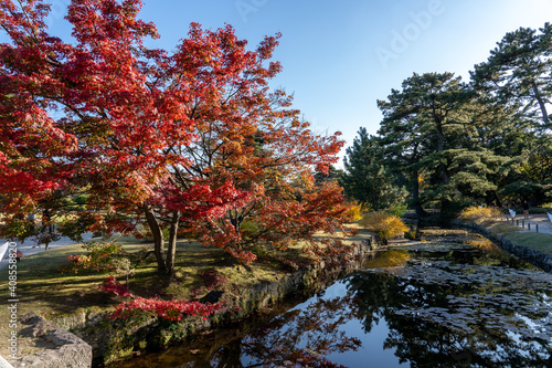 紅葉