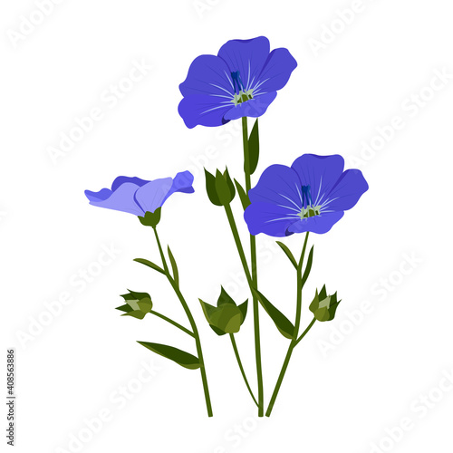 Flax flowers bouquet on white isolated background. Vector illustration.