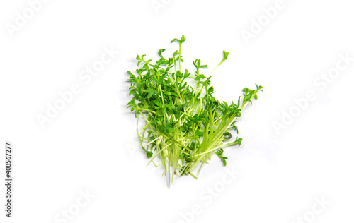 Bild auf Leinwand Watercress microgreen on white background isolate
