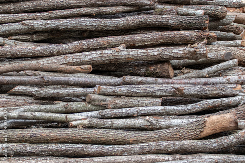 A pile of firewood. Cut wooden logs.