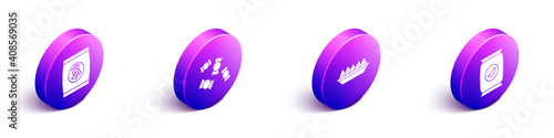 Set Isometric Hard bread chucks crackers, Candy, Nachos in plate and Bag or packet potato chips icon. Vector.
