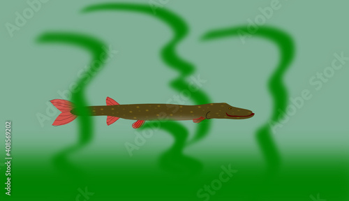 pike in the water