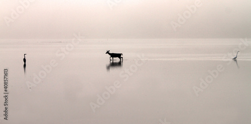 Passersby on Foggy Morning