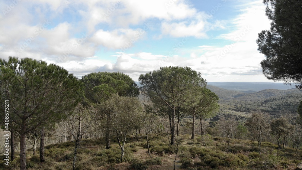 Sierra Norte de Sevilla, #sierra, #montaña, #arbol, #bosque