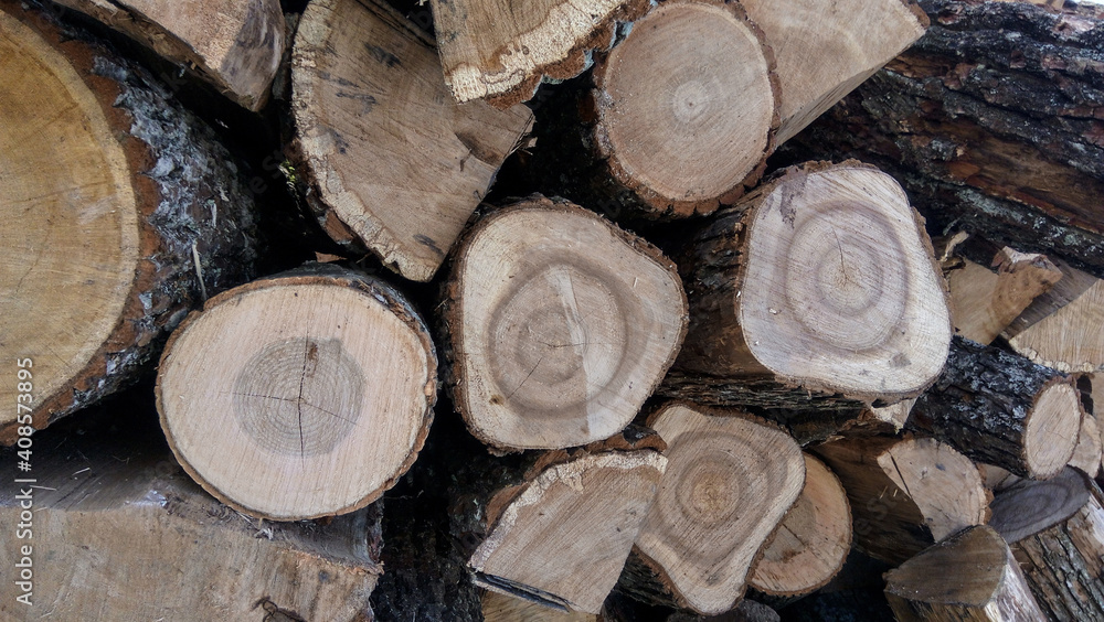 stack of firewood in winter. pile of wood logs stack of firewood in winter. pile of wood logs