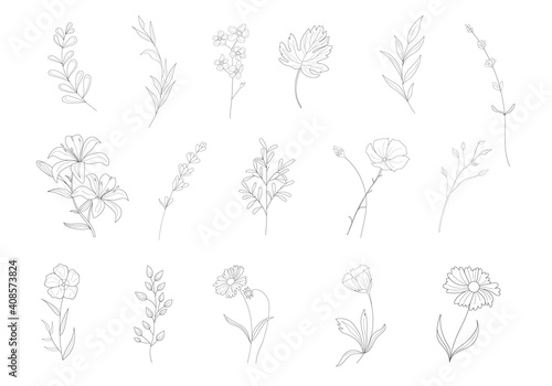 Botanical set. Foliage line art drawing. Plant Art design for print, cover, wallpaper, natural wall art. Vector illustration.