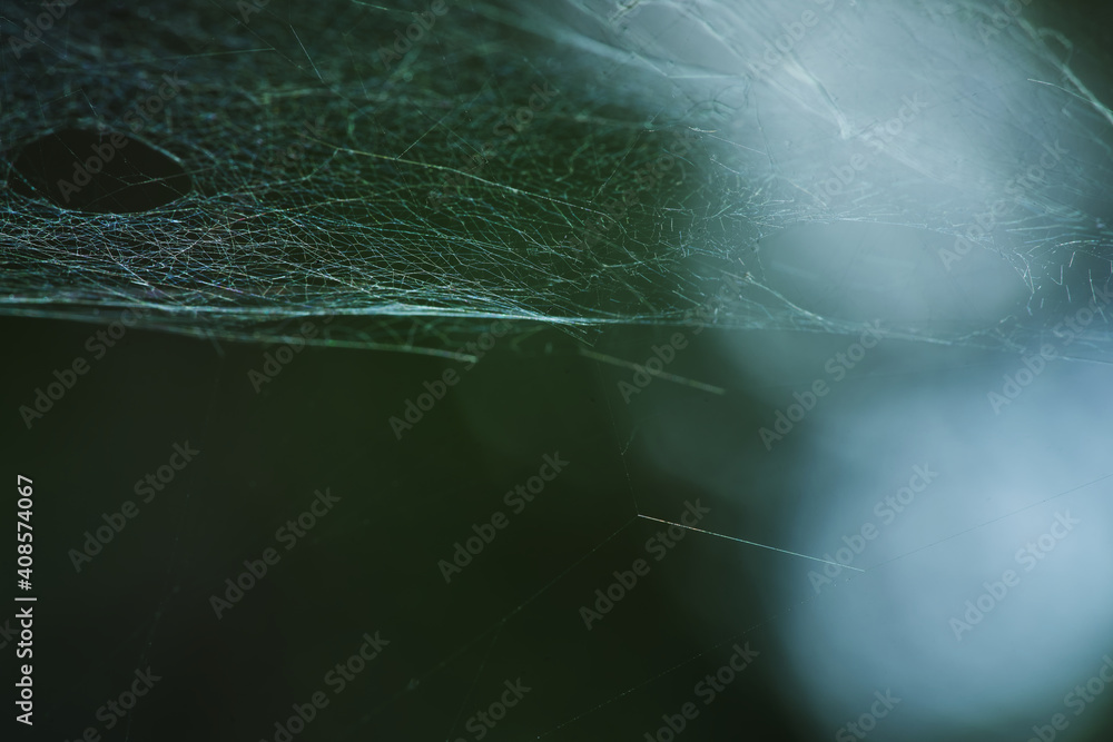 Spider web, abstract background