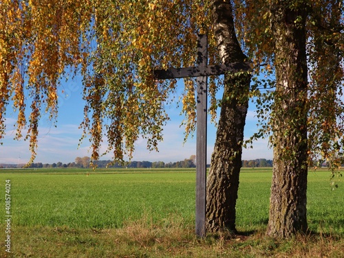 Wegkreuz unter Bäumen