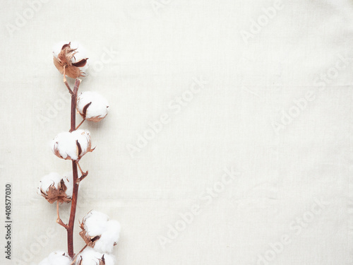 cotton flowers on cotton cloth