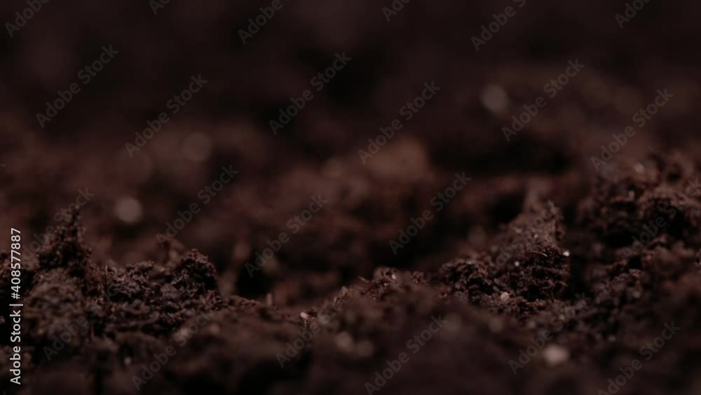 Macro shot of earth. Humus compost ground. Concept of agriculture farm, growing, eco earth, clean Macro shot of earth. Humus compost ground. Concept of agriculture farm, growing, eco earth, clean