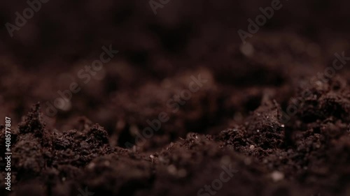 Macro shot of earth. Humus compost ground. Concept of agriculture farm, growing, eco earth, clean 