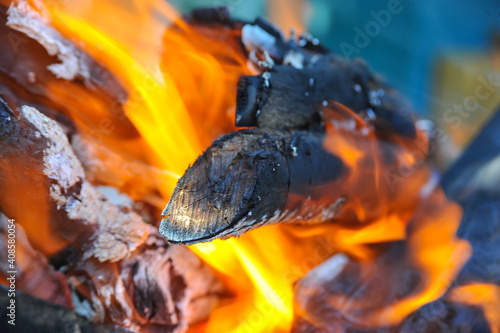 Dry logs burn on fire