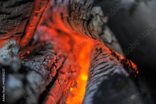 Dry logs burn on fire