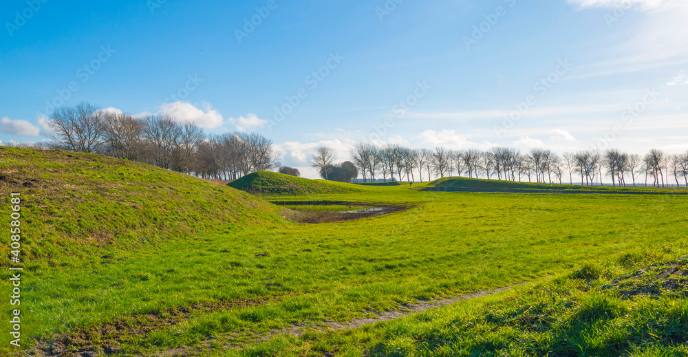 Obraz premium Dike in a green grassy field in wetland in sunlight under a blue sky in winter, Almere, Flevoland, The Netherlands, January 24, 2021