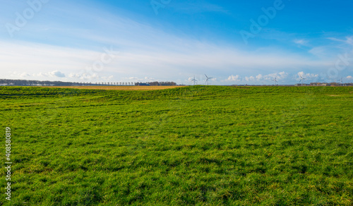 Dike in a green grassy field in wetland in sunlight under a blue sky in winter  Almere  Flevoland  The Netherlands  January 24  2021 
