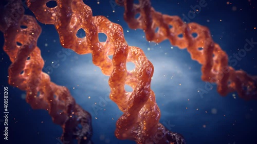 3D render animation of Collagen triple helix molecules, Collagen is the main component of bones, skin, muscle and tendons photo