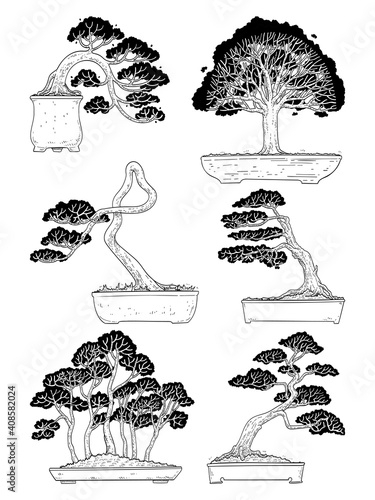 hand drawn side view Bonsai tree vector set.