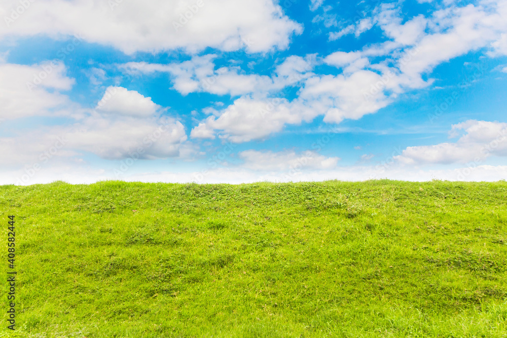 Fototapeta premium green meadow with blue sky
