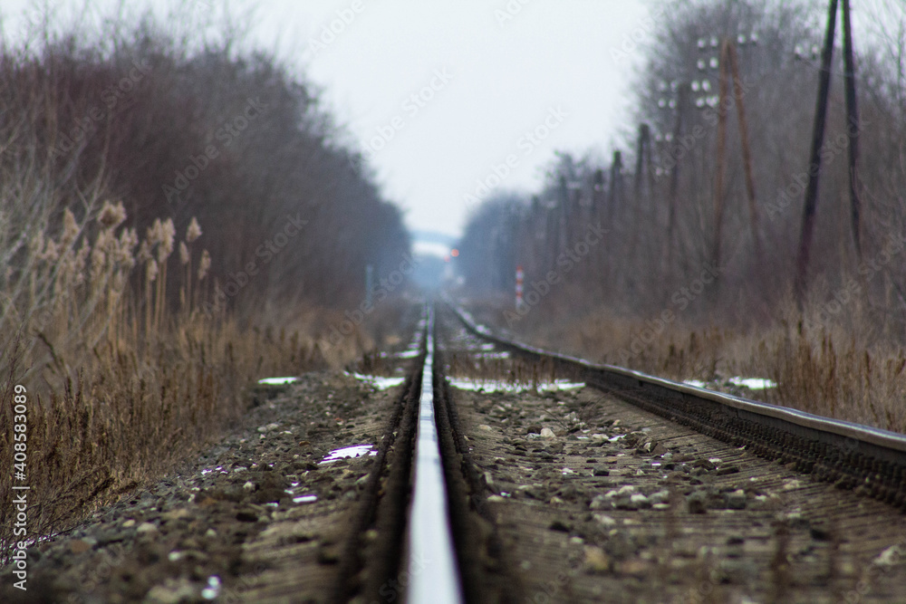 Fototapeta premium Railway tracks in the woods during a cold winter