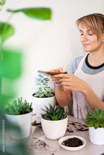 Woman gardener is shooting plants in white ceramic pots by phone. Concept of home garden. Spring time. Taking care of home plants.