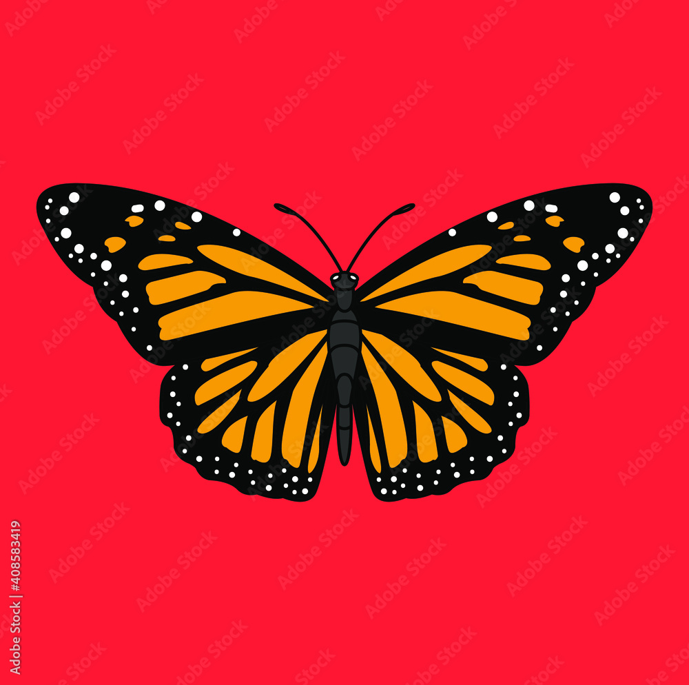 Obraz premium Butterflies are insects in the macrolepidopteran clade Rhopalocera from the order Lepidoptera, which also includes moths