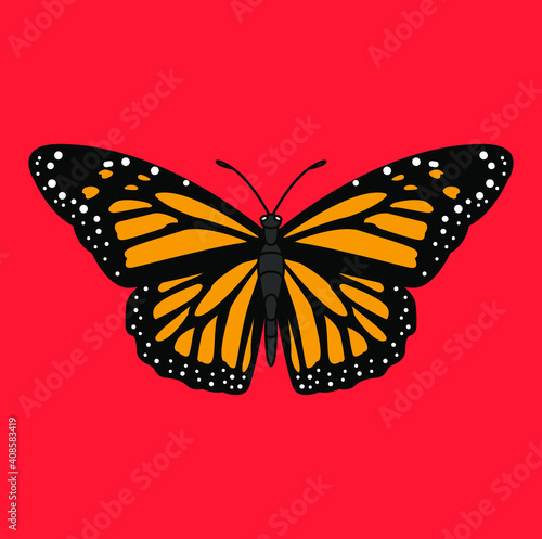 Butterflies are insects in the macrolepidopteran clade Rhopalocera from the order Lepidoptera, which also includes moths