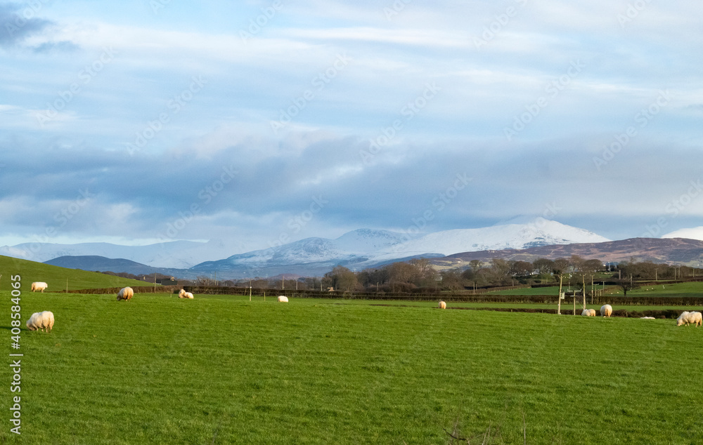 Winter landscape, Snowdonia Wales. Dramatic mountains and sky with a foreground of green lowland fields.  Grass and clouds with snowy peaks in the background. Copy space.