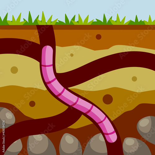 Worm in the ground. Burrows and passages. Nature and the insect. Soil in the section. Flat cartoon illustration