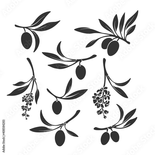 Olive branch set. Vector silhouette. Nature shape