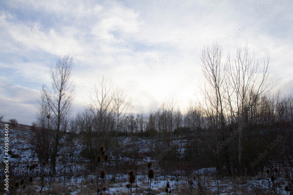 sunset in the snowy forest