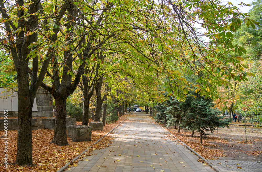  Autumn has come to the city. Gorky Park