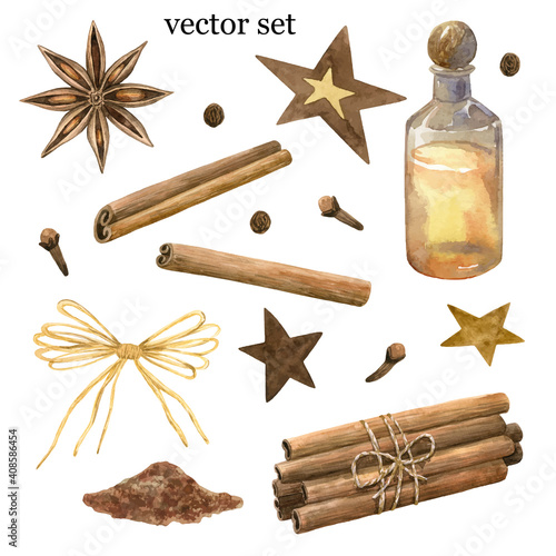 Winter spices. Cinnamon roll, pinch, star anise, clove, pepper. Bottle, stars and bow. Set of elements. Hand drawn watercolor illustration.