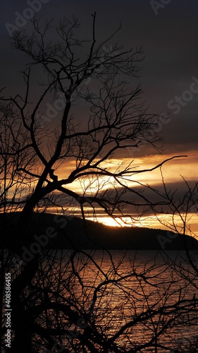 Sweden lake with tree at sight © Bruno