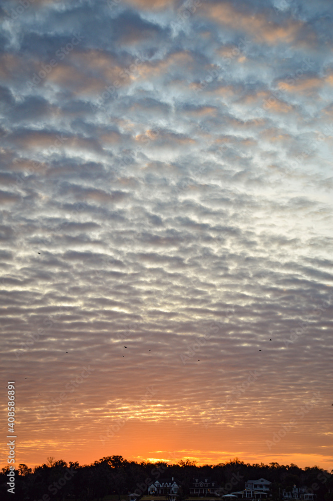 Fototapeta premium sunset in the sky