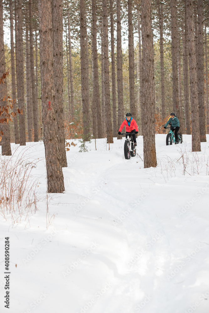 Group of attractive women riding fat bikes in the snow