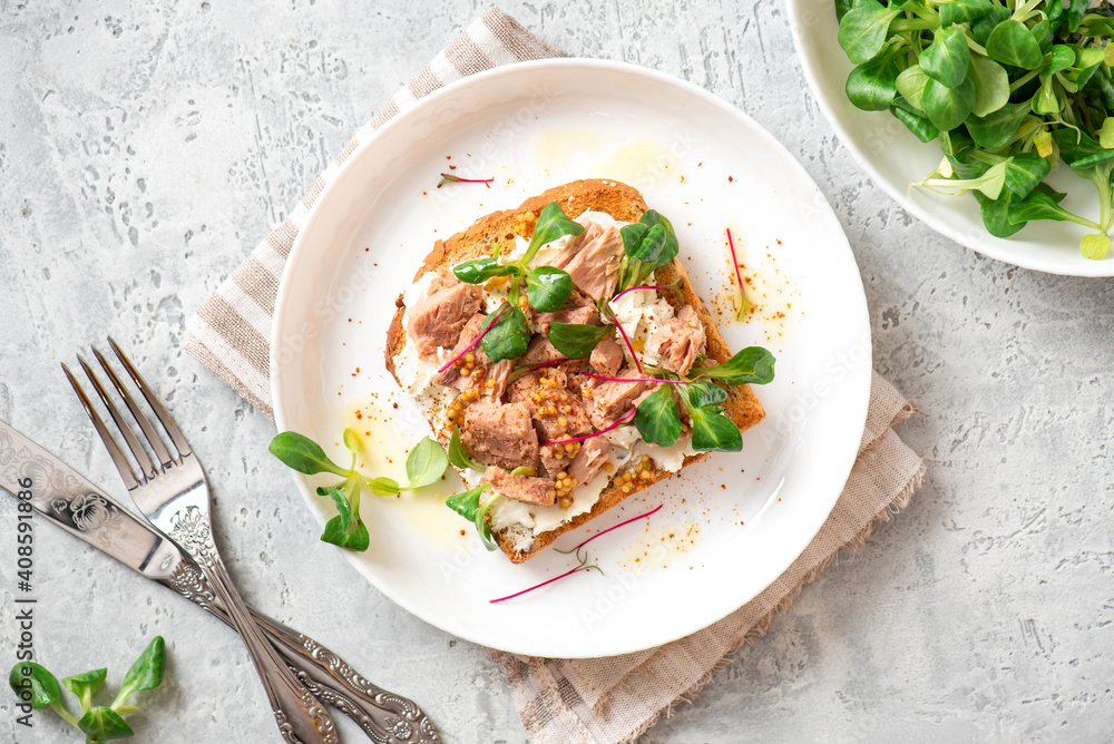 Tasty and healthy breakfast or lunch. Toast with tuna, ricotta cheese, and herbs in a white plate on a gray background top view. Mediterranean style breakfast. Tasty and healthy breakfast or lunch. Toast with tuna, ricotta cheese, and herbs in a white plate on a gray background top view. Mediterranean style breakfast.