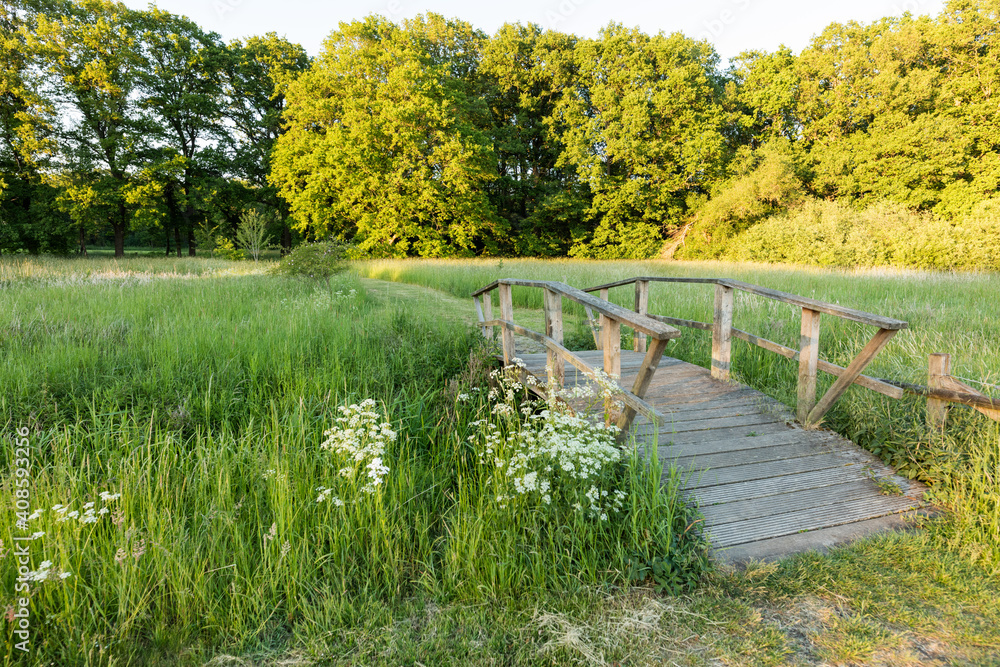 Kleine Holzbrücke führt über Bach Kleine Holzbrücke führt über Bach