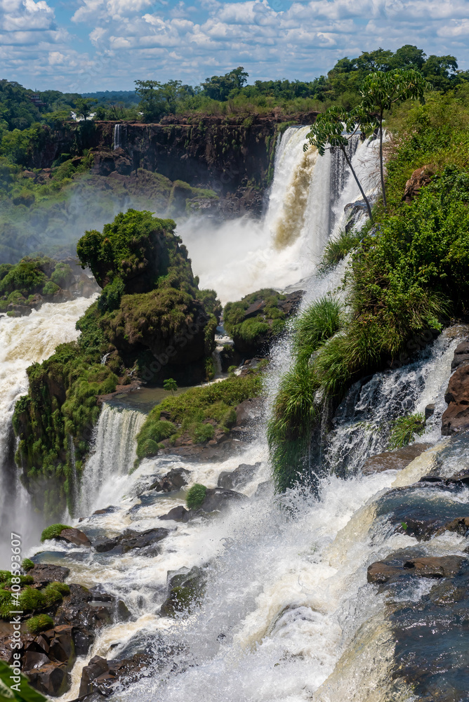 Wonderful vivid landscape of Iguazu Falls with water streams falling down among verdant vegetation Wonderful vivid landscape of Iguazu Falls with water streams falling down among verdant vegetation