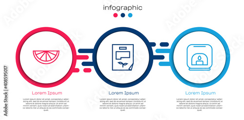 Set line Citrus fruit, Leaf document and Aroma lamp. Business infographic template. Vector.