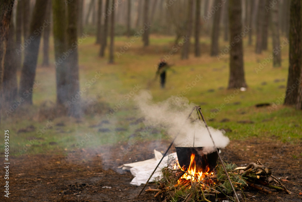 campfire in the forest campfire in the forest