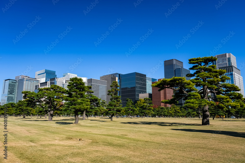東京都 皇居外苑の自然と丸の内、高層ビル群 東京都 皇居外苑の自然と丸の内、高層ビル群