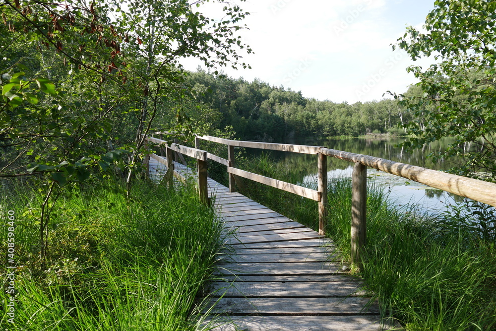 Steg mit Holzgeländer und See im Müritz-Nationalpark an der Müritz in Mecklenburg-Vorpommern