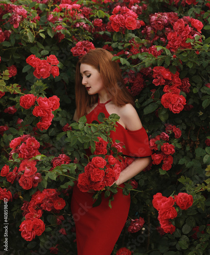 A beautiful red-haired girl in a red dress and red lips near gorgeous red roses.
