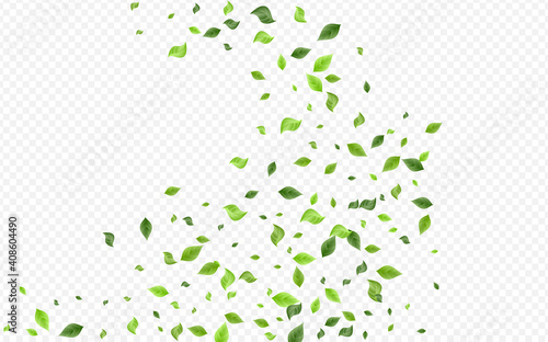 Forest Greenery Blur Vector Transparent