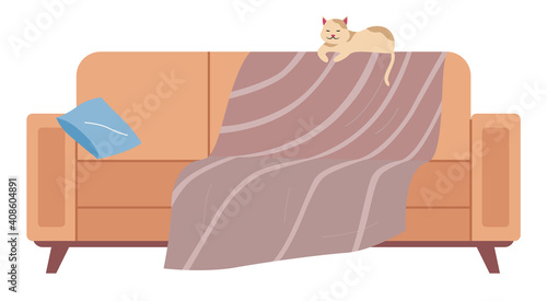 The cat lies on the back of the sofa. Soft couch covered with bedspread isolated on white background. Arrangement of furniture and layout of premises. The living room interior design element