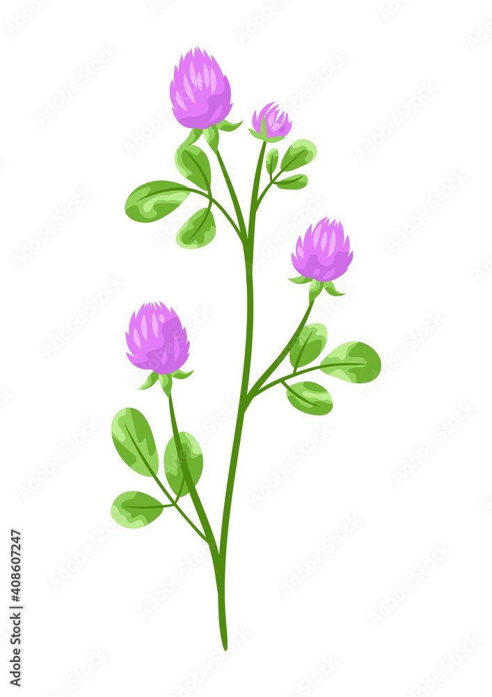 Illustration of stylized clover.