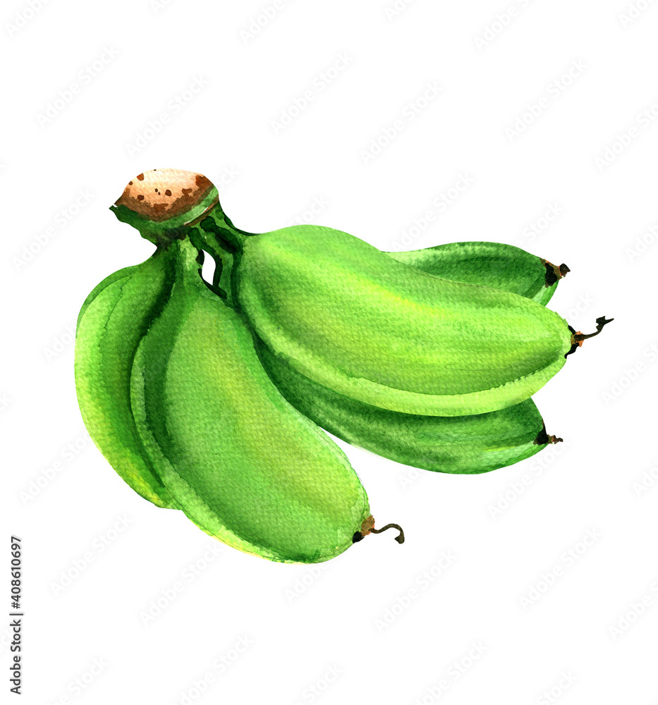 Banana Bunch Stock Illustrations – 8,549 Banana Bunch Stock