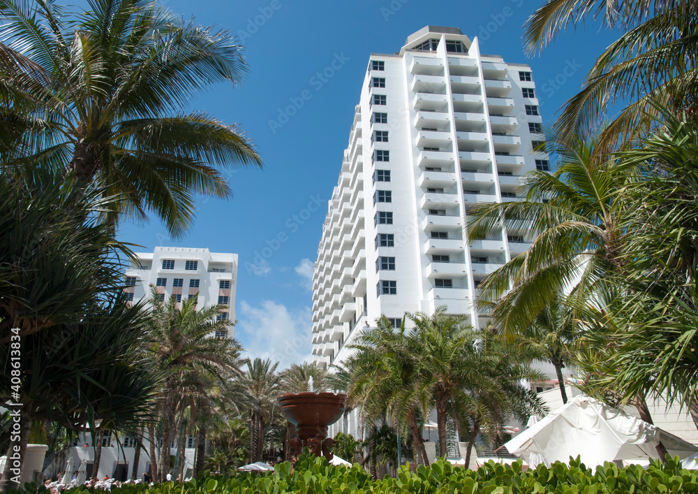Miami Beach Palms And A Fountain